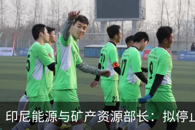 印尼能源与矿产资源部长：拟停止向不尊重印尼的国家供能