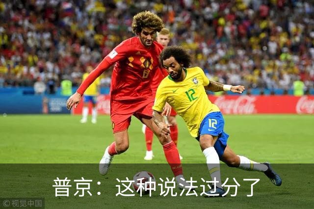 普京：这种说法过分了