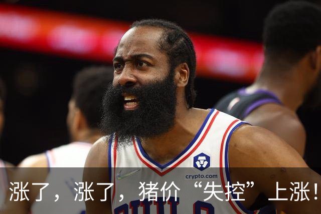 涨了，涨了，猪价“失控”上涨！附：10月19日猪价