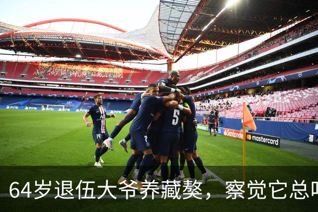 64岁退伍大爷养藏獒，察觉它总叼袜子去阳台，专家：不好，快送走