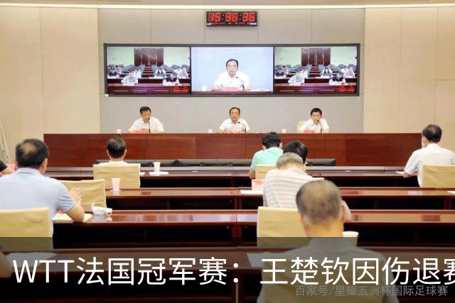 WTT法国冠军赛：王楚钦因伤退赛，国乒11人出战单打对决